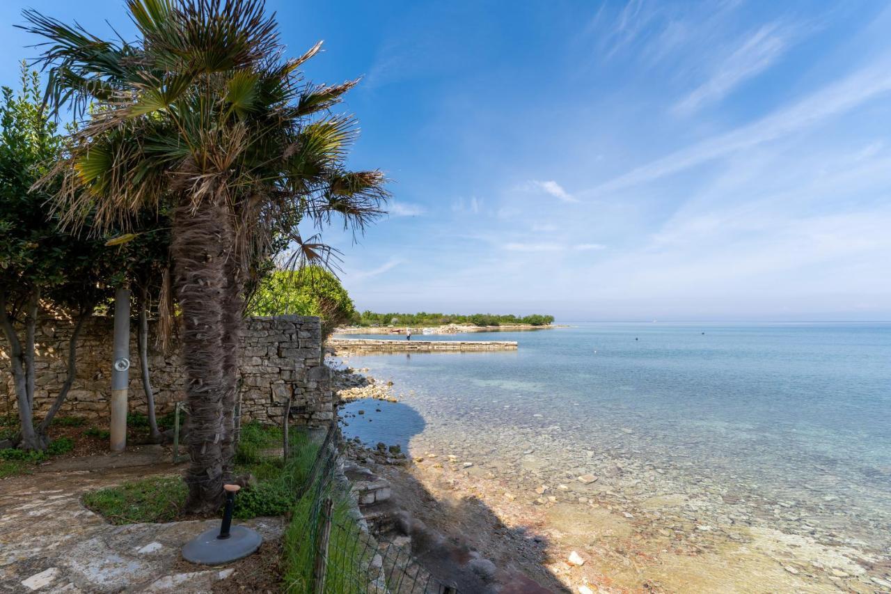 Villa DAULOS Novigrad Istria Esterno foto