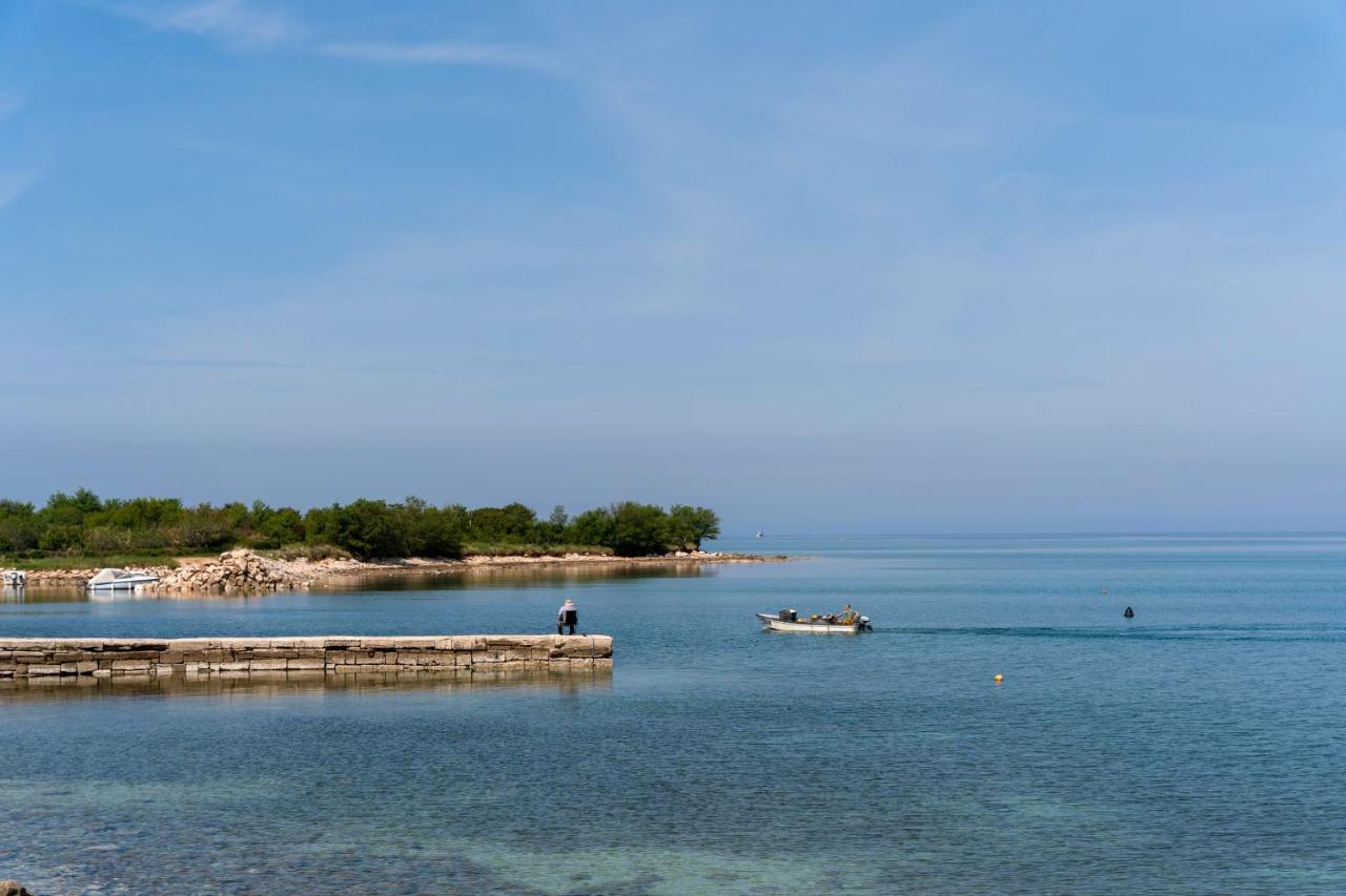 Villa DAULOS Novigrad Istria Esterno foto