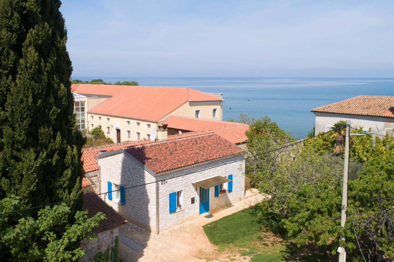 Villa DAULOS Novigrad Istria Esterno foto